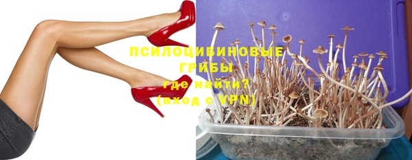 соль ск Нягань