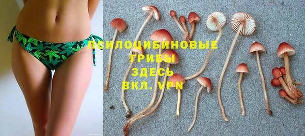 jwh Няндома