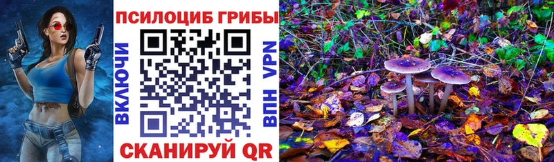 где можно купить наркотик  shop наркотические препараты  Псилоцибиновые грибы мицелий  Рославль 